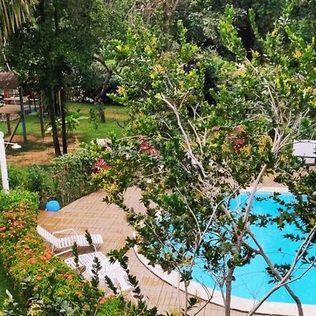 Pousada Ecogreen Imbassai Mata de Sao Joao Dış mekan fotoğraf